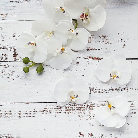 BalsaCircle 20 White 4" Artificial Faux Silk Orchid Flower Heads Wedding Party Decorations