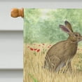 thumbnail image 3 of Carolines Treasures ASA2140CHF Leverets And Rabbit Flag Canvas House Size, 3 of 4