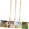 thumbnail image 5 of Reusable Reptile Spoon Pet Food Scoop Lizard Food Feeding Tool Stainless Steel Reptile Feeding Spoons Set, 5 of 5