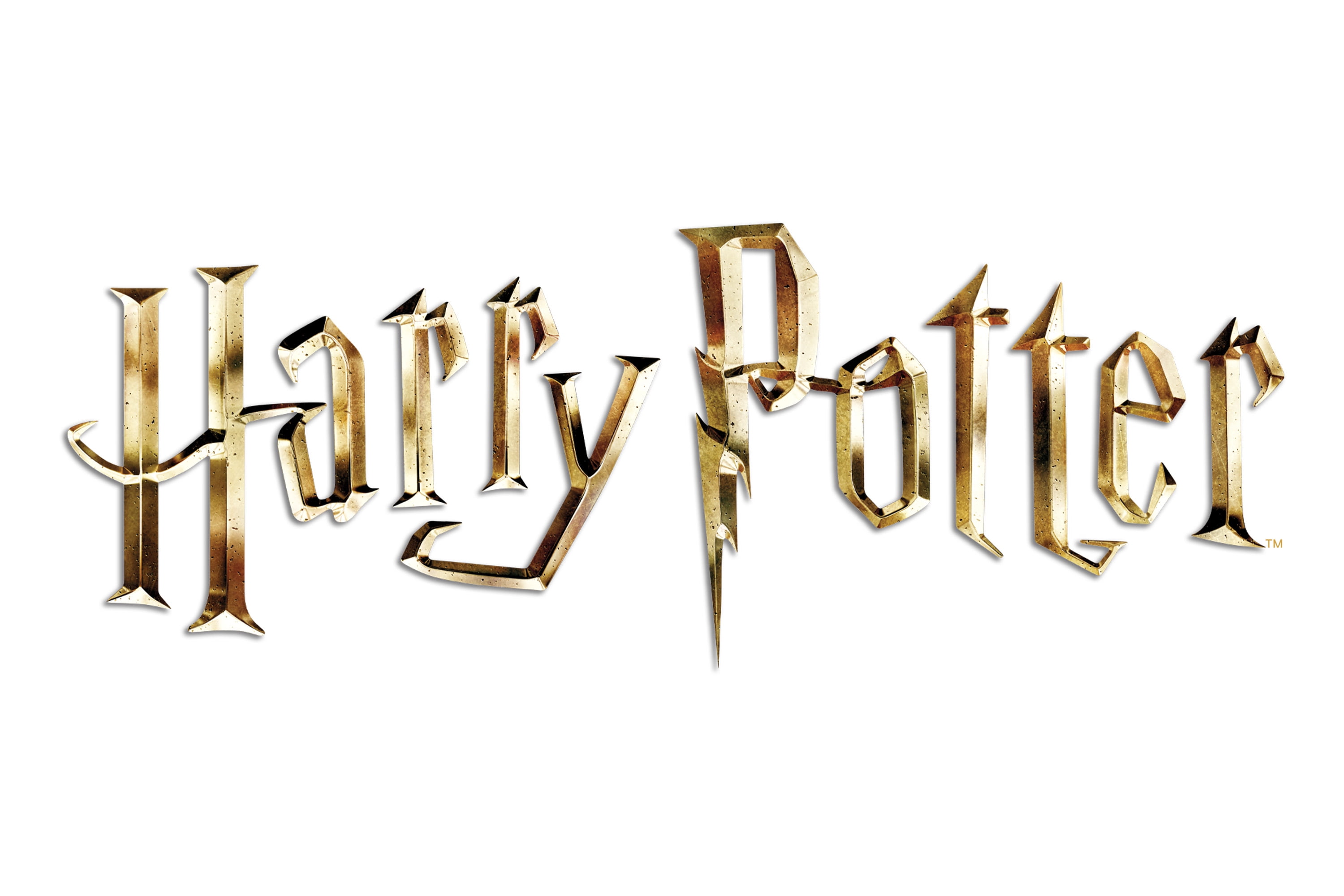 Warner Brothers Harry Potter 2-Pocket Paper Folder, 3-Hole Punched