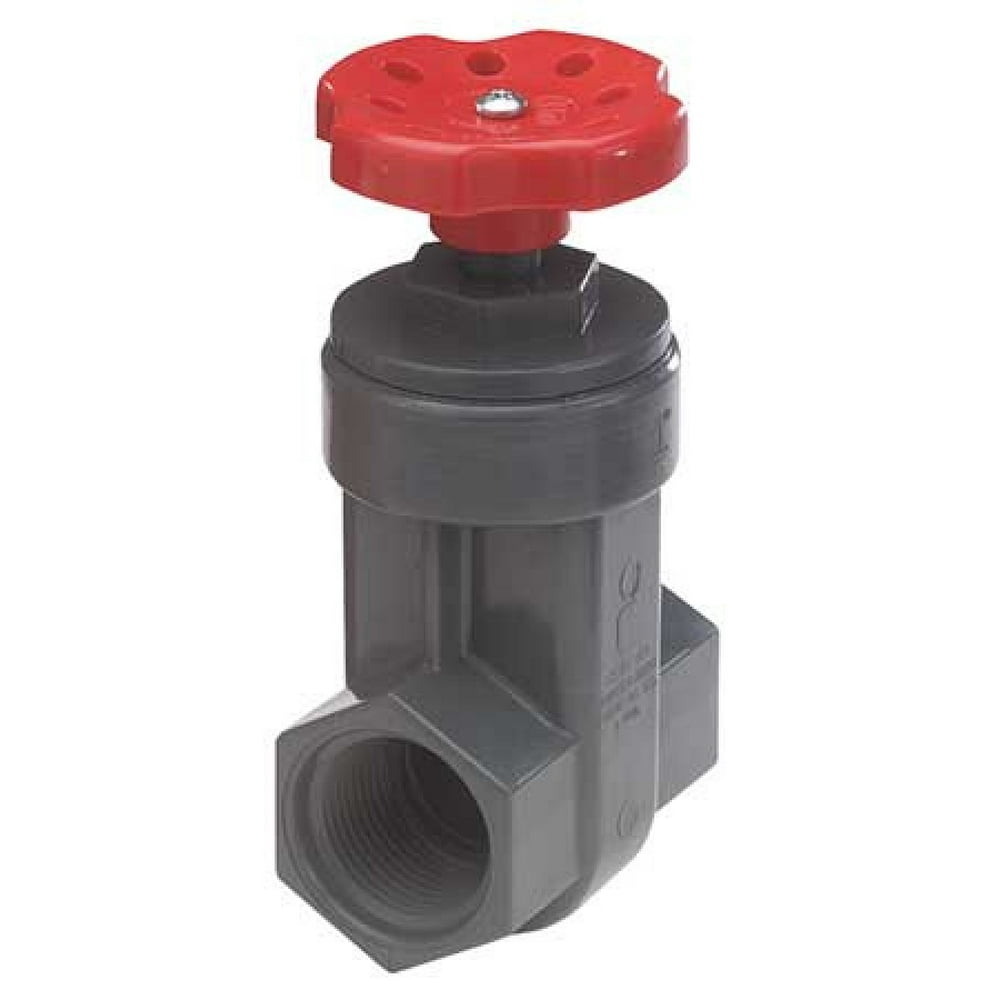 NDS GVG0750T Gate Valve,3/4 In.,FNPT,PVC