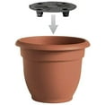 thumbnail image 6 of Bloem Ariana Self Watering Planter 12 in. Honey Dew, 6 of 8