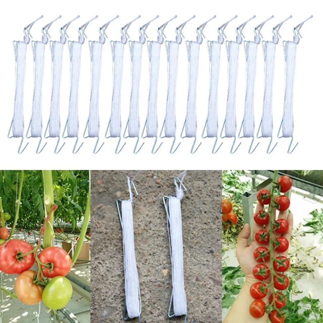 Abrazaderas De 15x10M De Jardín De Gancho De Verduras Para Granjas De Jardín Plantación De 15 piezas DYNWAVEMX Plantación de anzuelos de tomate