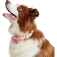 thumbnail image 6 of HQREA Dog Collar and Leash Set for Large Dogs Girl, Lace Dog Collar with Bowknot Flower for Wedding Birthday, 6 of 6