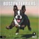 RED EMBER Calendrier Mural Hangable Boston Terriers 2022 - 12 "x 24" Ouvert - Papier Épais et Robuste - Cadeau - Formidable – image 1 sur 5