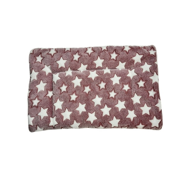 Tapis d'Hiver Portable Pratique pour la Famille avec Coussin Épaissi