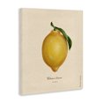 thumbnail image 2 of Stupell Industries French Country Lemon Fruit Portrait Canvas Art, 16 x 20, by Danielle Murray, 2 of 8