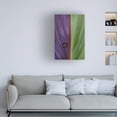 thumbnail image 2 of Canvas Wall Art - Stephen Clough 'Canna' Wall Art for Living Room, Bedroom, or Office D?cor by Trademark Fine Art - 16 x 24 Inches, 2 of 4