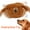 Brown, variant on Squeak Toys Dog Toys Jumping Pet Toys Dog Toys Exercise Interactive Pet Toys Giggle