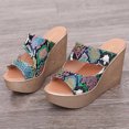 thumbnail image 1 of Fashion Women Strap Summer Slide Sandals Heeled Sandals Shoes, 1 of 7