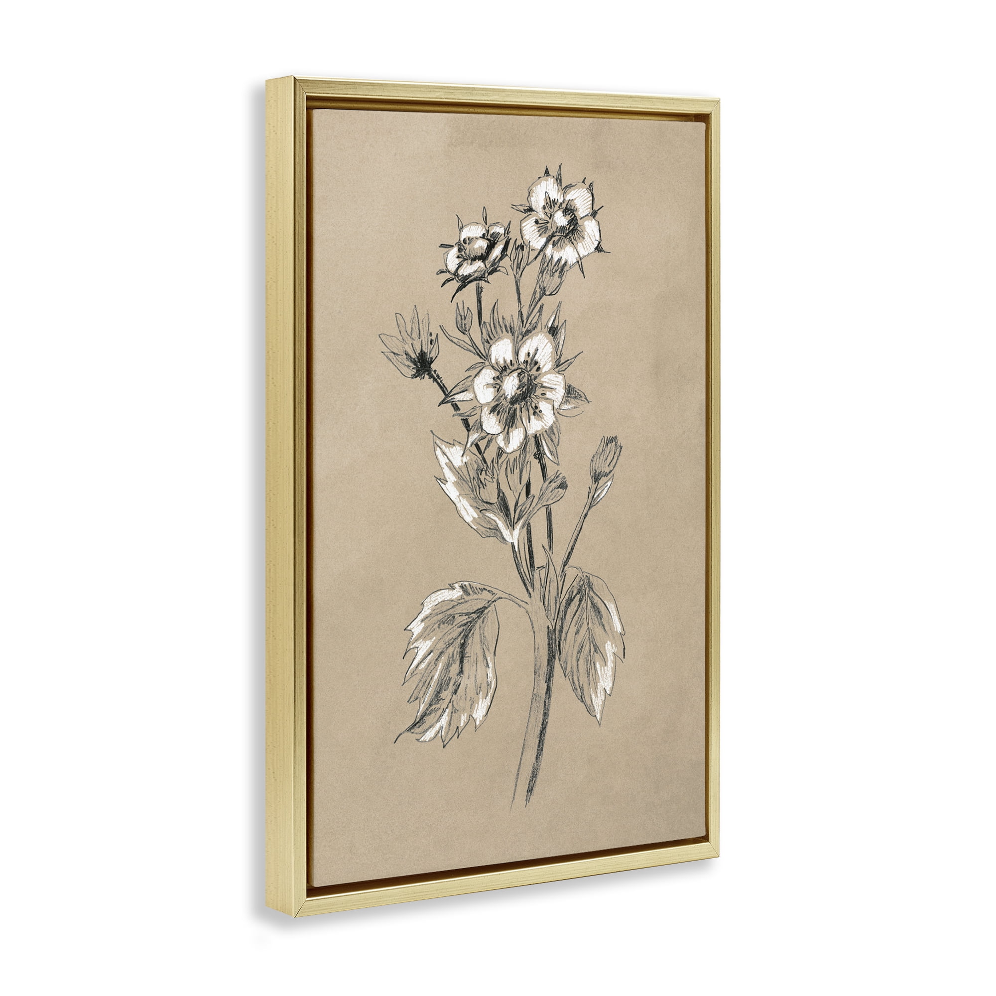 Stupell Industries Apple Blossom Drawing Botanical & Floral Drawing Gold Floater Framed Art Print Wall Art, 21 x 31
