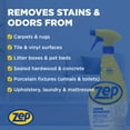 thumbnail image 6 of Zep Urine Remover - 32 oz. (Case of 12) ZUURMV32 - Targets and Eliminates Urine Odors and Stains, Use On Hard and Soft Surfaces, 6 of 8