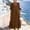 Brown, variant on QUNYINEY Cotton Linen Dresses for Women Summer Midi Short Sleeve White Sundress with Pockets Loose Fit A Line Casual V Neck Dresses