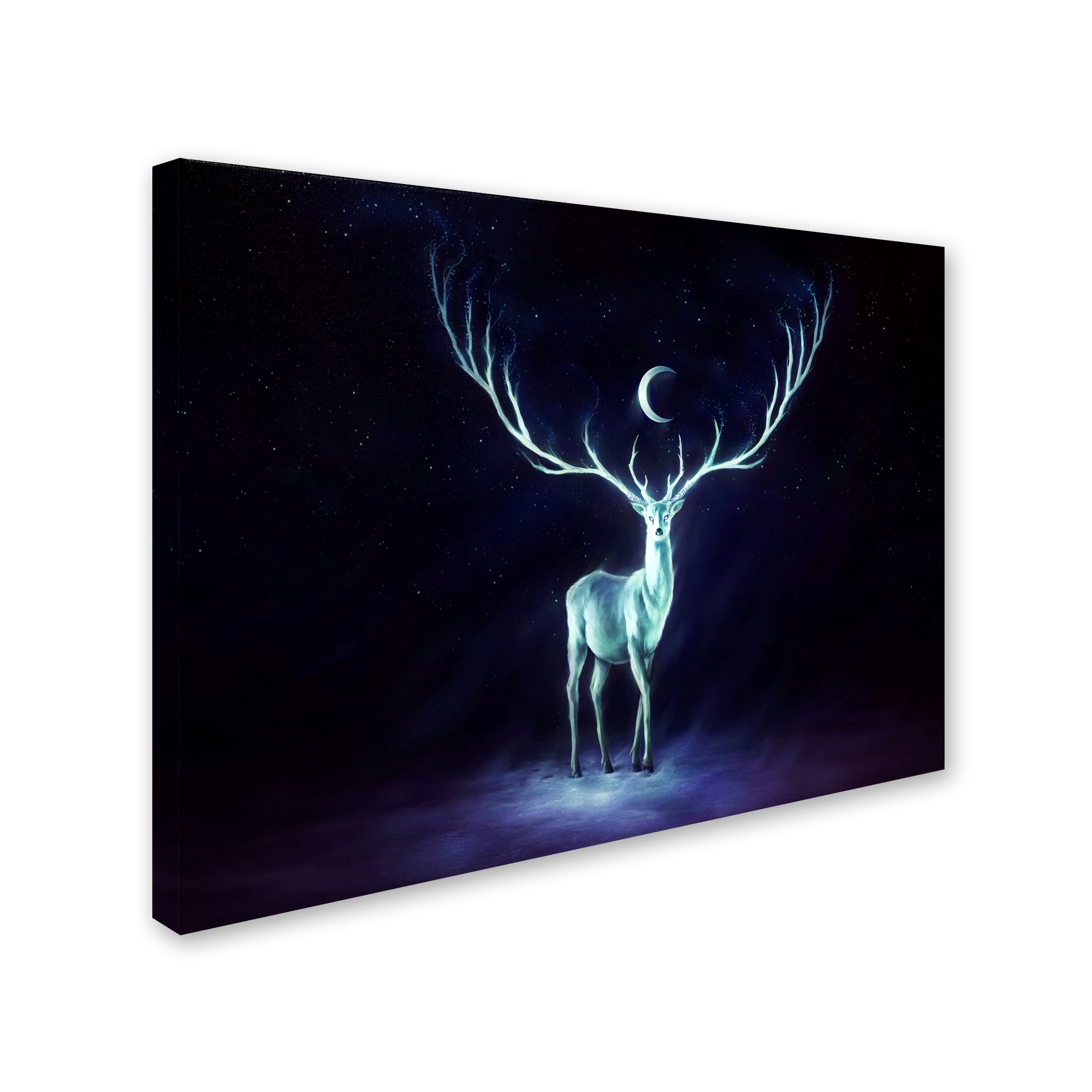 Trademark Fine Art 'Nightbringer' Canvas Art by JoJoesArt