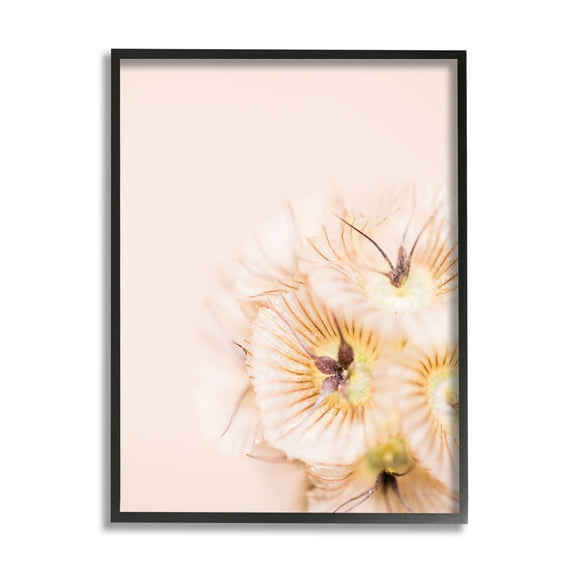 Close Up Pink Flower Anther Botanical & Floral Photograph Black Framed Art Print Wall Art