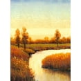 thumbnail image 2 of OToole, Tim 12x14 Gold Ornate Wood Framed with Double Matting Museum Art Print Titled - Spring Water I, 2 of 4