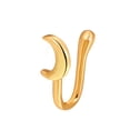 thumbnail image 1 of Anillo de nariz falsa en forma de U Diamante tachonado Mariposa Nariz Clavo Sin agujero Nariz Clip Piercing Joyería Wmkox8yi  sjalhkljlk5375, 1 of 1