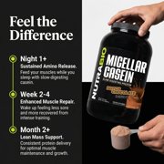 NutraBio Micellar Casein Protein Powder, 2 lbs, Dutch Chocolate
