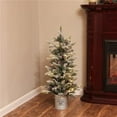 thumbnail image 1 of Luxen Home Arbre de Noël Artificiel à LED Pré-Éclairé 3 Pieds avec Pommes de Pin et Baies Rouges et Base en Métal, 1 of 1