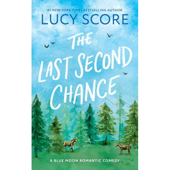 The Last Second Chance (Paperback)