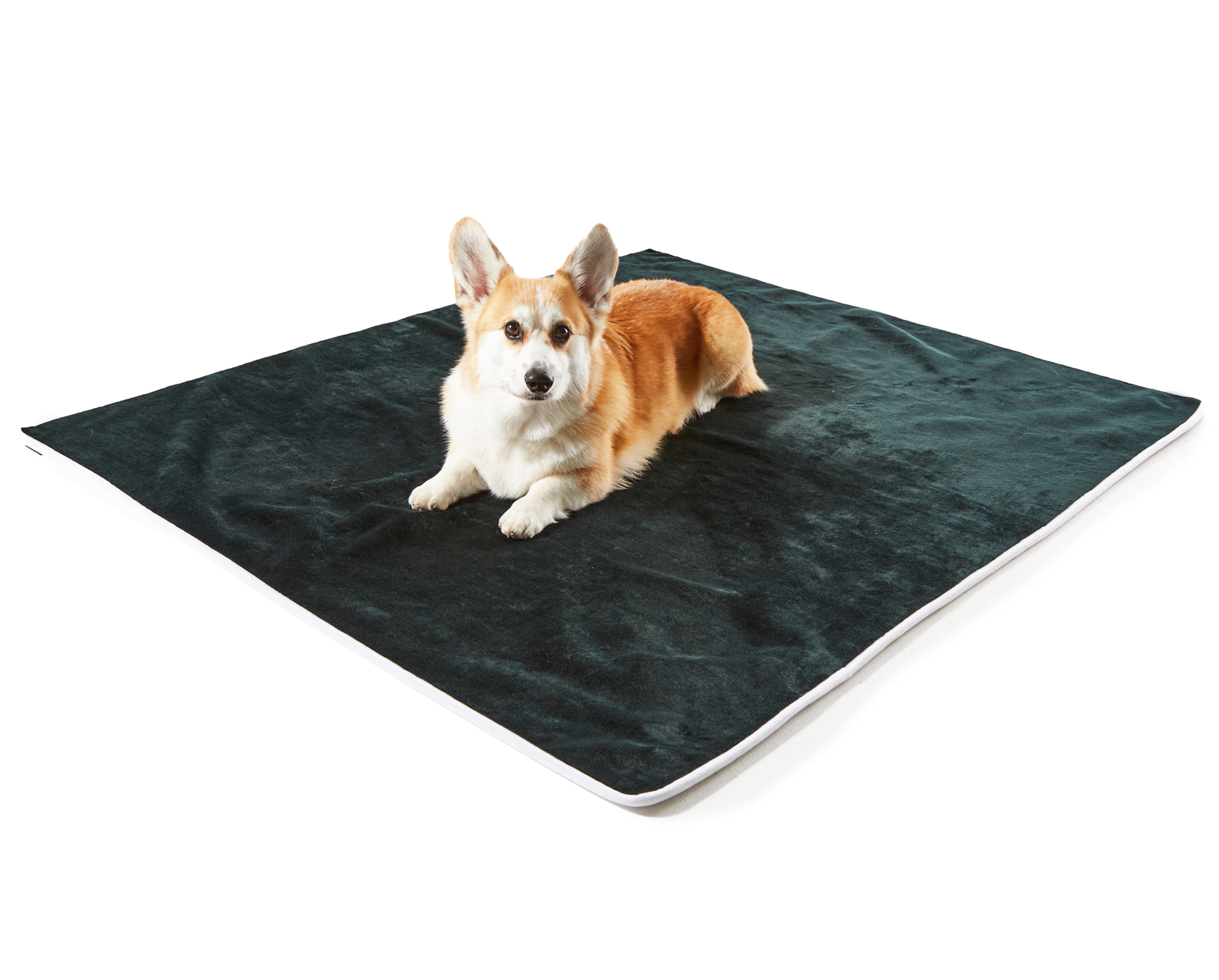 PAW Dog Blanket Waterproof Throw Blanket for Pets 60L X 50W inches