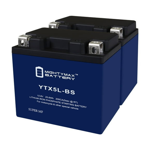 Honda Ruckus Battery