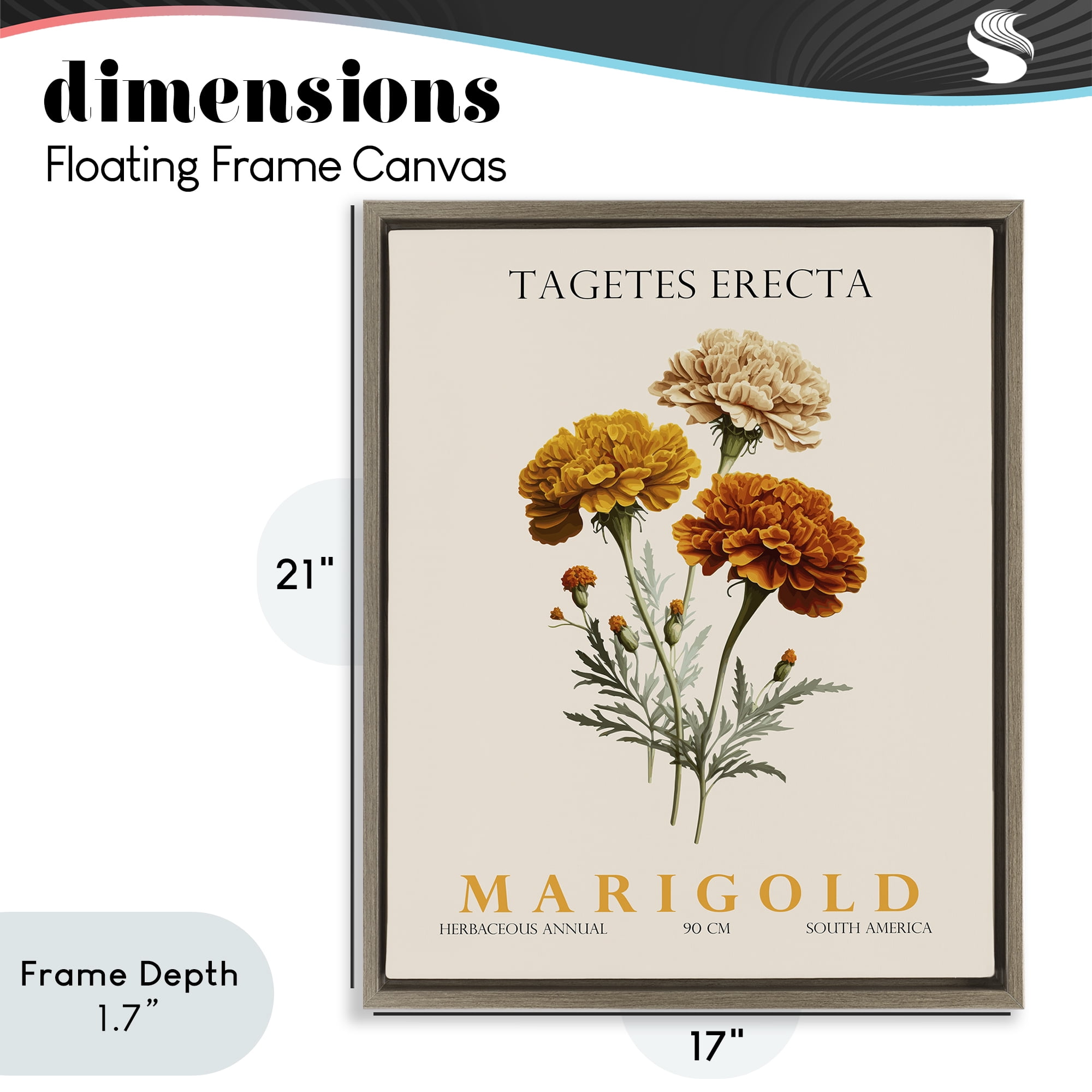 Stupell Industries Natural Marigold Bundle Brown Framed Floater Canvas Wall Art, design by Christopher Giampietro