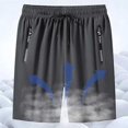 thumbnail image 3 of Maidenfit Icyshorts, Airyflex Shorts for Women, Unisex Ice Silk Stretch Quick-Dry Shorts, High Waisted Elastic Pants, 3 of 9