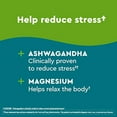 thumbnail image 2 of Nature Made Wellblends Calm & Relax, Ashwagandha 125 mg, Magnesium 300 mg, 54 Vegetarian Capsules, 2 of 3
