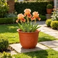 thumbnail image 5 of Hvmvliv Small Plastic Flower Pot for Balcony Windowsill Gardening with Lightweight Design for Succulents Herbs and Foliage Plants, 5 of 6