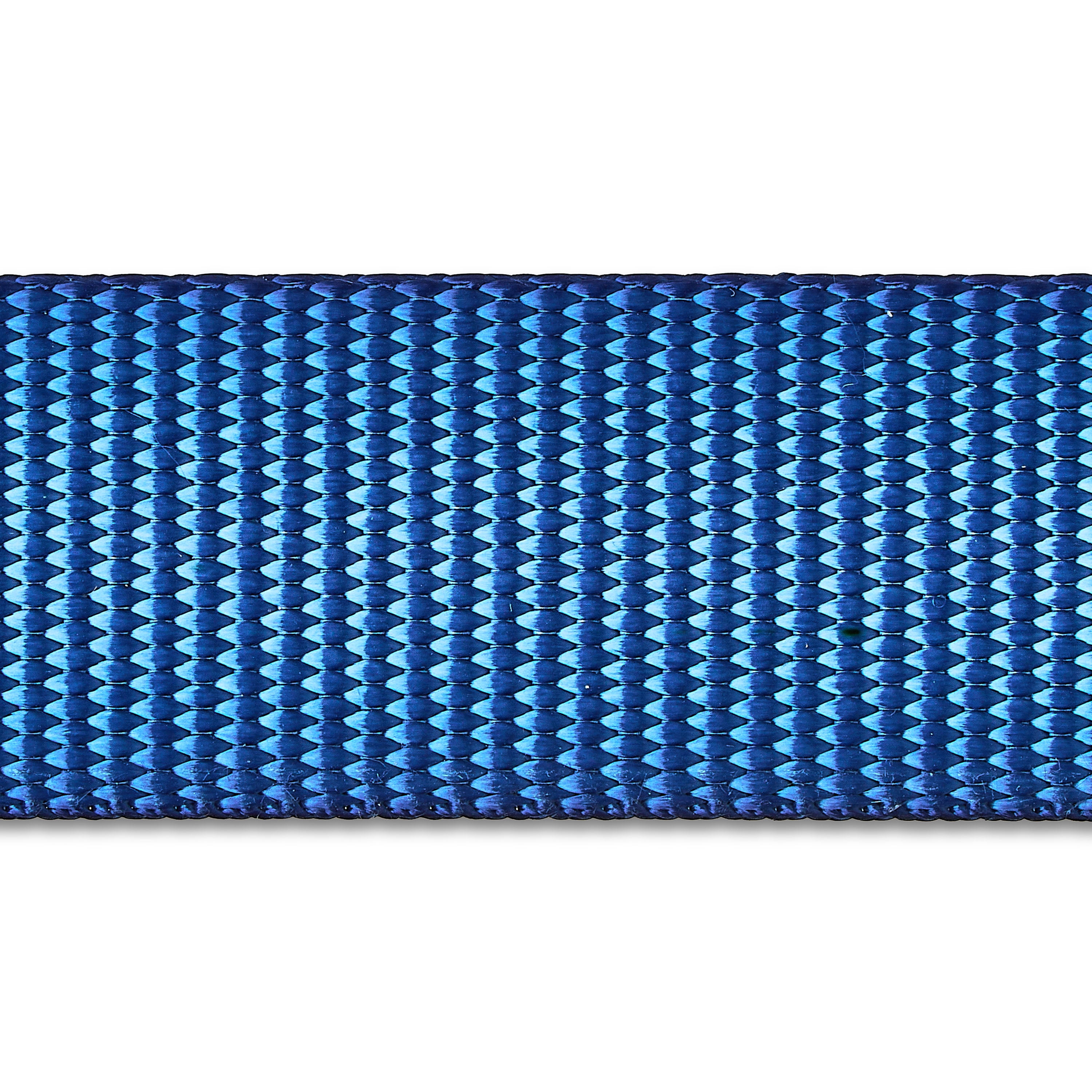 Vibrant Life 6 ft Solid Polyester Leash, Blue, Medium / Large