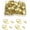 Gold, variant on 100 Pack Steel Picture Hangers with 100pcs 8mm Screws, Small Triangle Ring, Light Duty D Rings for Clock, Decoration, Mirror, Paintings, Artwork Picture Frame (Gold)