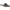 Grey, variant on Journee Womens Kessie Slip On Pointed Toe Mules Flats