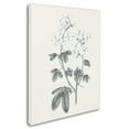 thumbnail image 2 of Trademark Fine Art 'Neutral Botanical III' Canvas Art by Wild Apple Portfolio, 2 of 3