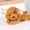 Khaki, variant on White Plush Teddy Bear Dog Stuffed Toy Soft Simulation Puppy Doll For Kids Cuddly 28Cm White