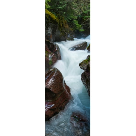 Elevated view of creek flowing through rocks Avalanche Creek US Glacier National Park Montana USA Canvas Art - Panoramic Images (6 x