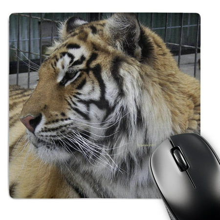 3dRose  tiger profile  MousePad price history on PriceWatchPro