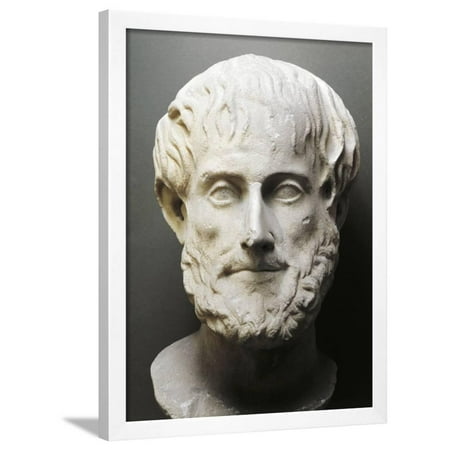 Bust of Aristotle Framed Print Wall Art
