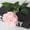 A3, variant on 5Pc Roses Artificial Flowers,20" Artificial Silk Bobo Ball Bouquet Flowers,Simulation Rose Flower Decor for Valentines Day,Props Imitation Rose,Wedding