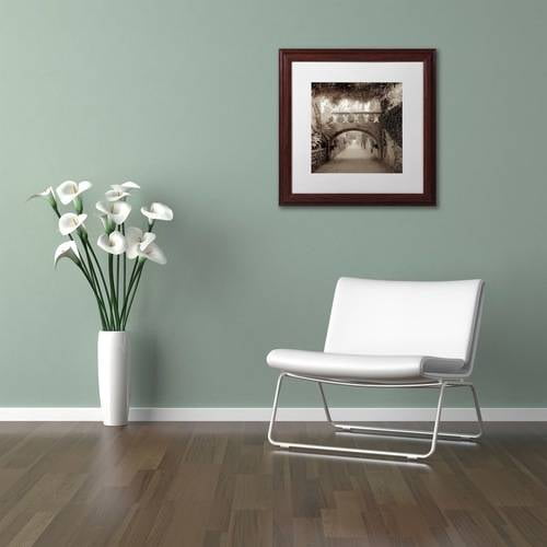 Trademark Fine Art "Giardini Italiano VI" Canvas Art by Alan Blaustein, White Matte, Wood Frame