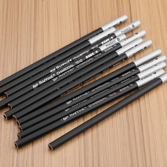 Sonew Charcoal Pencil, Art Charcoal Pencil,12pcs/Lot Charcoal Pencil Set Professional Art Drawing Sketching Pencils School Stationery