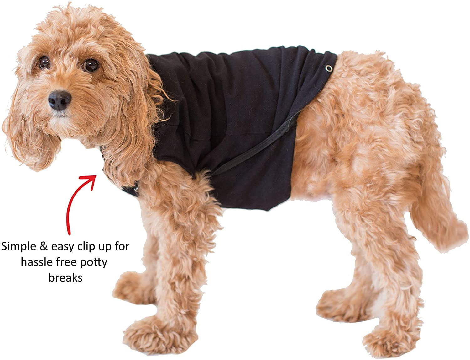 BellyGuard After Surgery Dog Recovery Onesie Post Spay Neuter Body Suit for Male and Female Dogs Comfortable Cone alternative for Large and