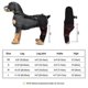 thumbnail image 2 of Dog Rear Leg Support For Back Hind Legs Knee Brace Mediucal Pet Injury Arthritis, 2 of 5