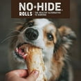 EARTH ANIMAL No Hide Small Chicken Flavored Natural Rawhide Free Dog