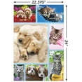 thumbnail image 3 of Keith Kimberlin - Puppies and Kittens Collage Wall Poster, 22.375" x 34", 3 of 3