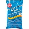 Hoover Pet Stain & Odor Removal Wipes, 30 Count