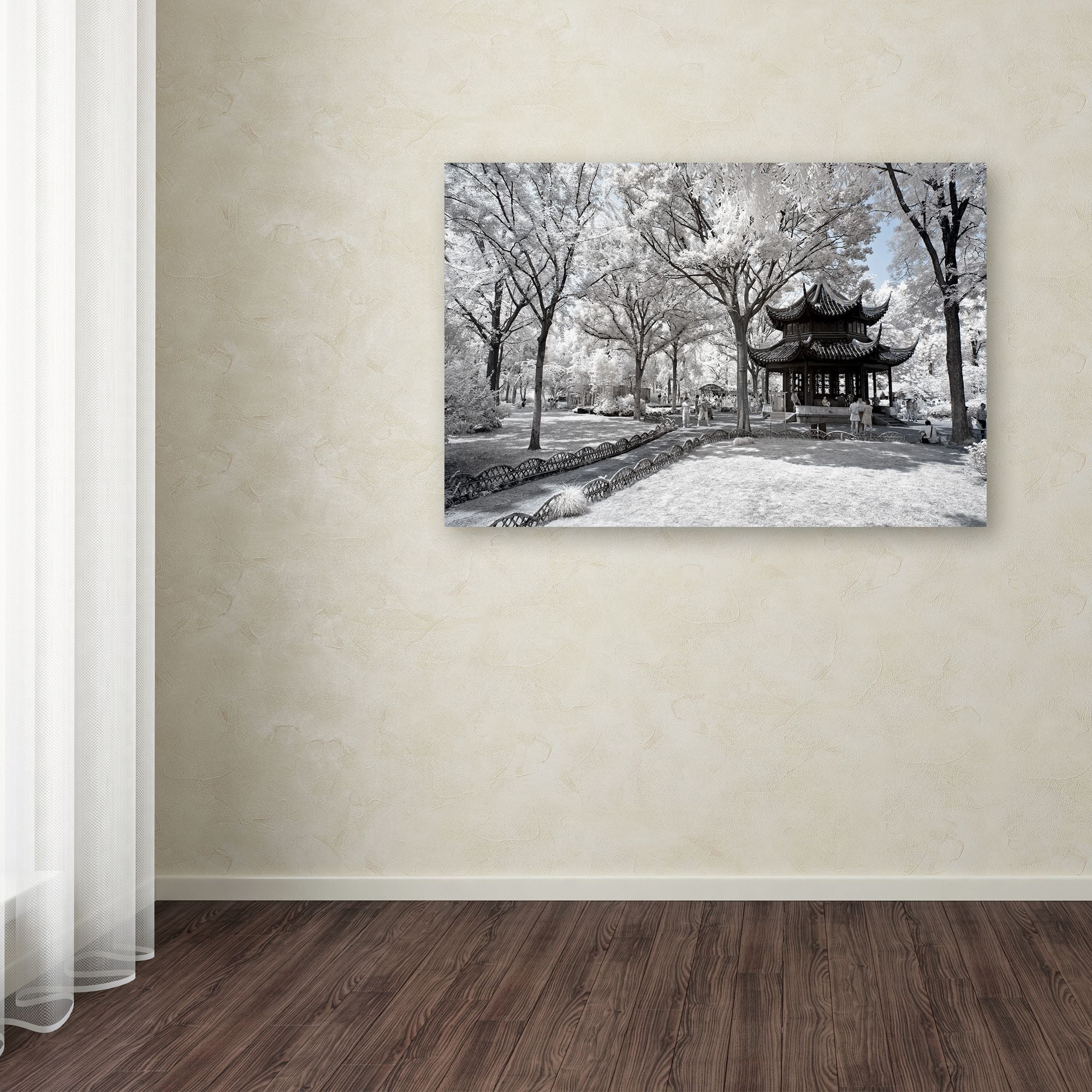 Trademark Fine Art "Coldness" Canvas Art by Philippe Hugonnard