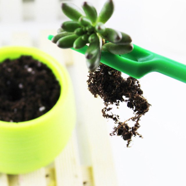 Houderco 10Jgo Kit De Herramientas De Trasplante Para Jardín En Color Con Material Duradero ABS Para Suculentas