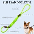 thumbnail image 2 of YIXIGGC Slip Lead Control Leash for Dogs No Pull, 13+ Colors Classic Dog Leash 6FT Pet Slip Leash, 1/4\u201d Rope Leash for Small Medium Animals Green DYF329-2211, 2 of 8
