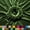 Dark Olive Green, variant on Ice Fabric 60" Polyester Spandex Stretch Velvet Crafts Fabric, Dark Olive Green